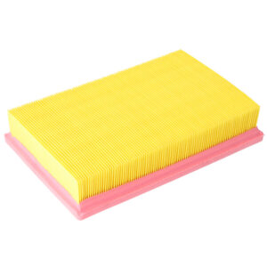 Ford Air Filter - Blue Print - ADM52252